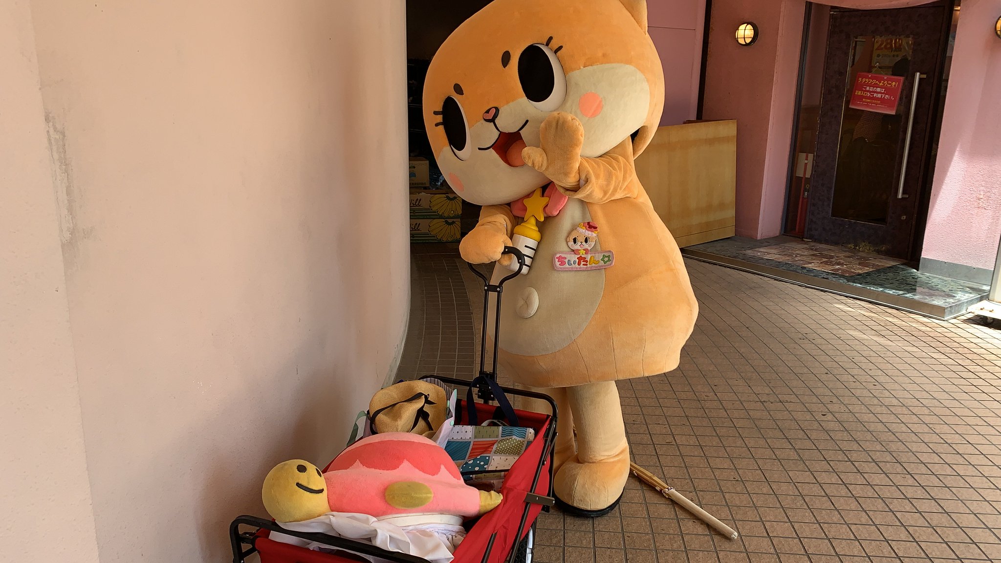 かめたんです カメちゃん🐢 on X: 
