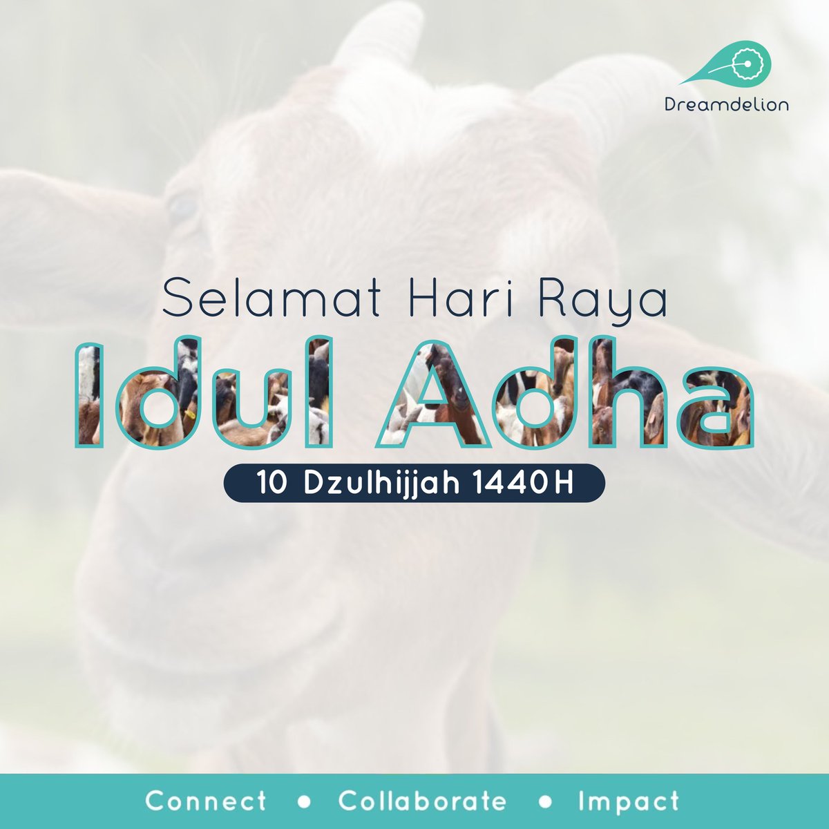 [HARI RAYA IDUL ADHA]

Segenap Dreamteam mengucapkan selamat hari raya idul adha 1440 Hijriyah. Mari berkurban untuk melengkapi kesempurnaan iman. Semoga senantiasa dilimpahi kebajikan dan keberkahan.
Selamat berbagi di hari idul adha, delioners 😊

#IdulAdha
#Dreamdelion