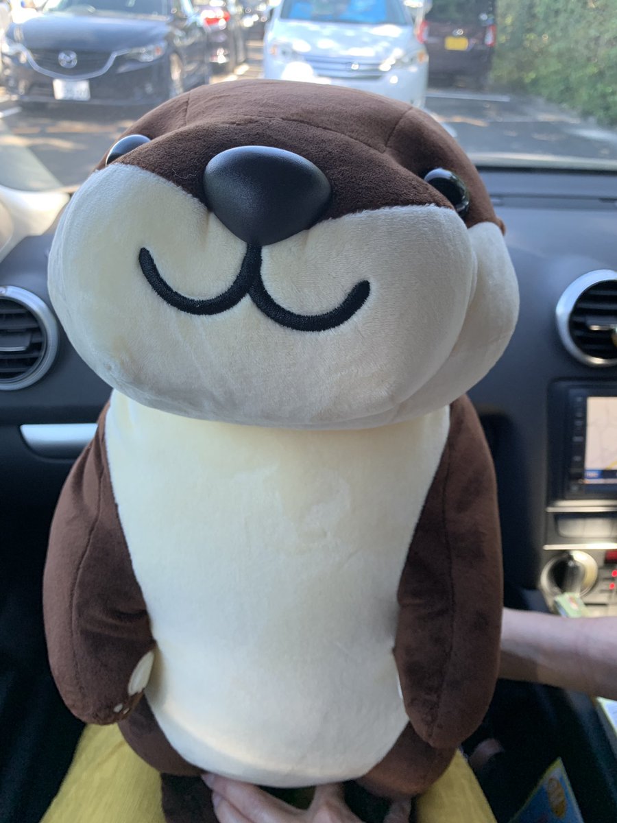 南知多ビーチランド　かわうそ特大 南知多ビーチランド かわうそ特大 カワウソ見に南知多ビーチランド来