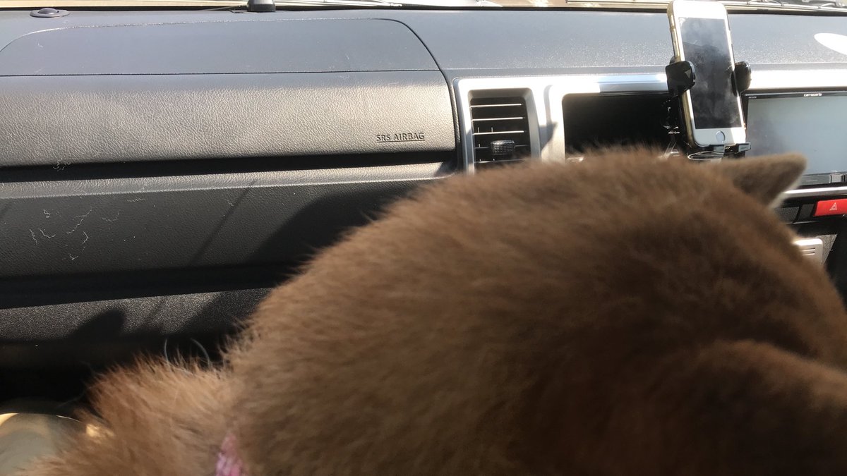 犬臭い