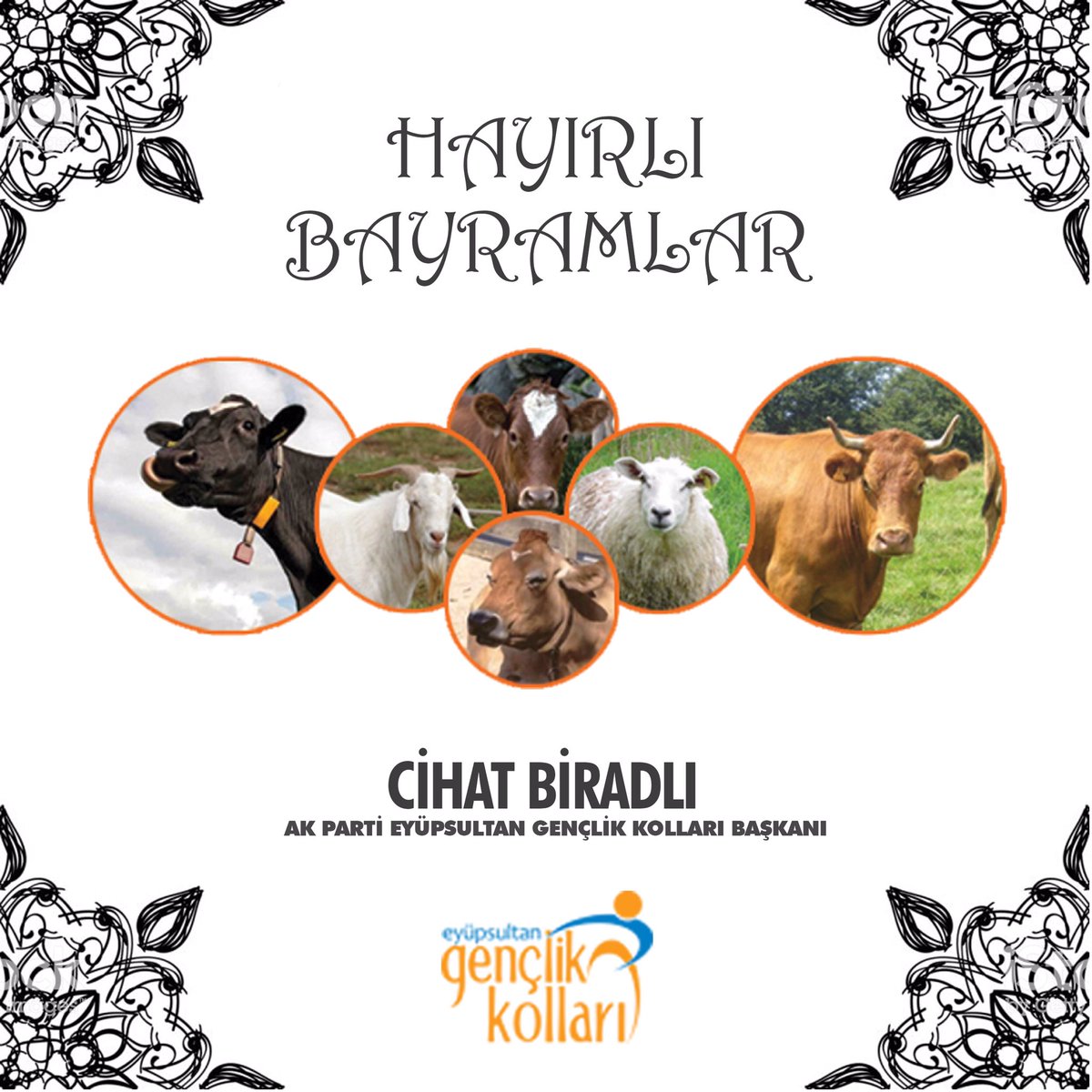 cihatbiradli's tweet photo. Paylaşmanın, yardımlaşmanın, aile ve akrabalarla hemhal olmanın en güzel örneği olan mübarek Kurban Bayramımız kutlu olsun. 

Birlik ve beraberlik içerisinde, nice bayramlara! #KurbanBayramınızMubarekOlsun https://t.co/Be3MCr2fMX