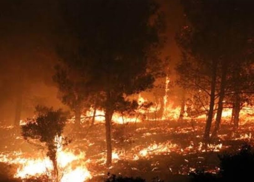 .
Niyedir ki ülkenin en güzel yerleri enteresan bir şekilde sırayla yanıyor, alan açılıyor... 
Ne olduğunu biliyorsun ama ispatlayamıyorsun!
Velevki ispatın var, kime şikayet edecen?

#geliboluyanıyor