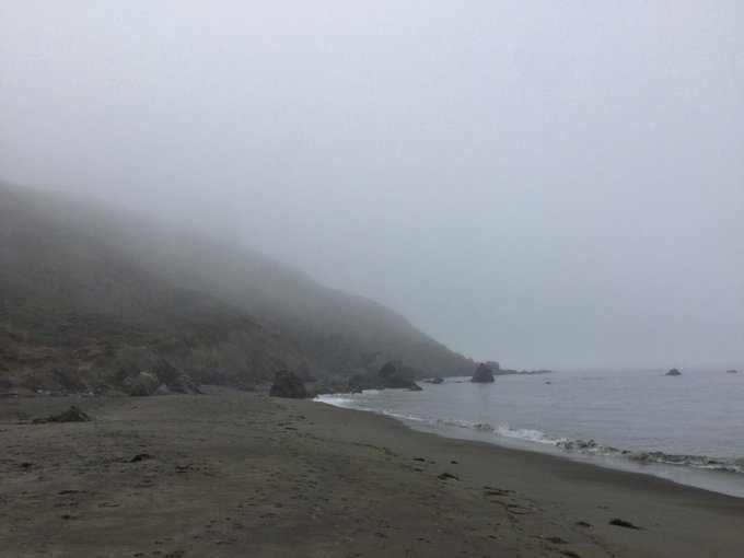 It&rsquo;s not always sunshine and flowers. Sometimes it&rsquo;s endless #fog. Or miscommunication and isolation<a href="/tag/fog"class="tags"><span>#fog</span></a><a href="/tag/sfrc"class="tags"><span>#sfrc</span></a><a href="/tag/muirbeach"class="tags"><span>#muirbeach</span></a>