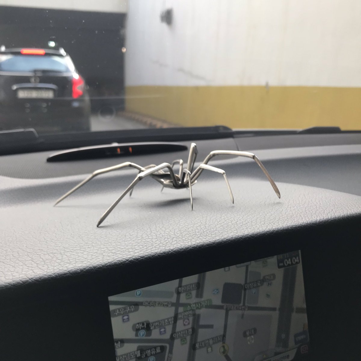 yonafamily's tweet photo. 차에 거미가 들어왔다면?
일단 차를 버뤼세효 #거미 #spider https://t.co/JTYGg53EvB