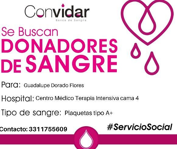 ConvidarBanco's tweet photo. ¡Servicio Social! 👇

Solicitamos donadores de plaquetas tipo A+ Guadalupe Dorado Flores

Comunicarse con Martha Elena Dorado Flores al 3311755609

¡Ayúdanos a ayuDAR!💕 https://t.co/kkEuMoEjSd