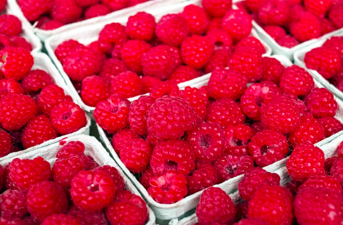 ZEGOFoods's tweet photo. Ripe, juicy #raspberries mingle with delicious tart Pacific Northwest apples and organic #chia seeds in our delicious Fruit+Chia Raspberry Bar. https://t.co/3277Rt1zTL #allergytested #schoolsafe #poweredbyzego https://t.co/APohUa924Z