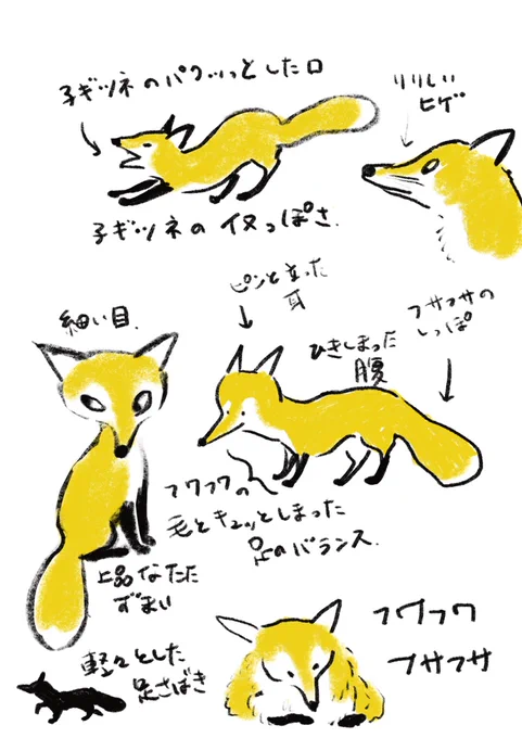 キツネのたまらないポイント 