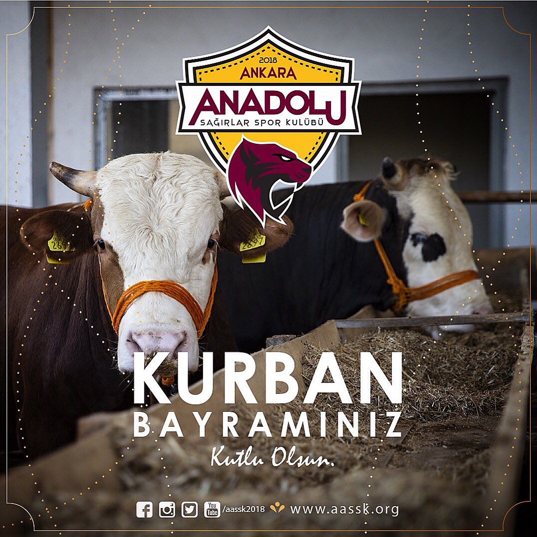 Sevgi dolu, nice bayramlara... Kurban Bayramı kutlu olsun!
#iyibayramlar
#mutlubayramlar