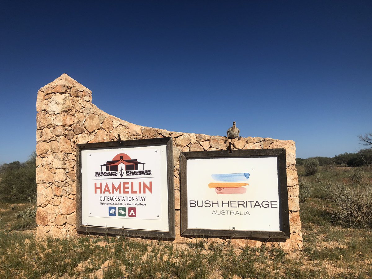 J_Stingemore's tweet photo. A big shout out the the staff and volunteers from @BushHeritageAus - Lee and I had a great weekend at the #HamelinScienceFair. The focus on community and conservation was inspiring. #MalleefowlMascot #ThreatenedSpecies #ScienceWeek https://t.co/Ds4kTqV1HY