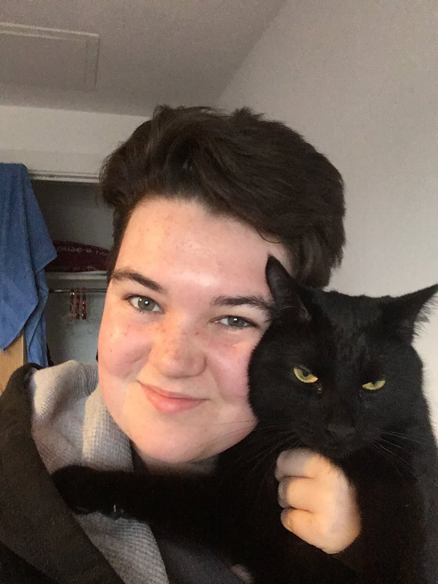 DianCathal's tweet photo. 1 year ago today, I got Kit. He came to me, covered in fucking fleas. Now he’s been to France, New York and now Scotland. And look how ungrateful this little bitch is! #kitthecat #CatsOfTwitter https://t.co/jP3oQSjj0Q