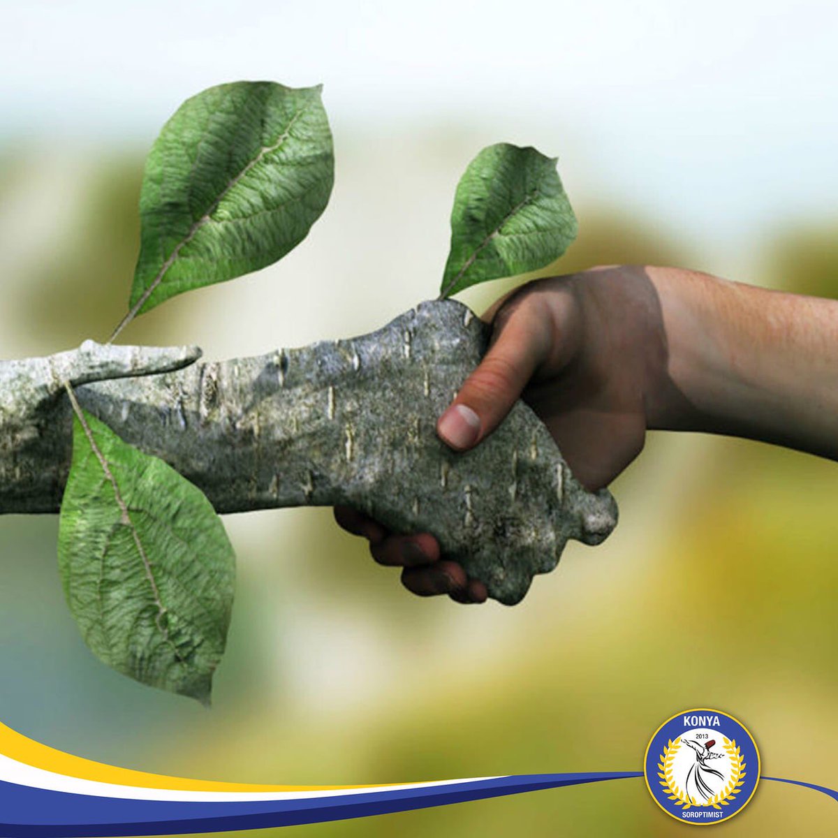 Doğayı sev, yeşili koru 🌱
#konyasoroptimist #konyasoroptimistkulübü