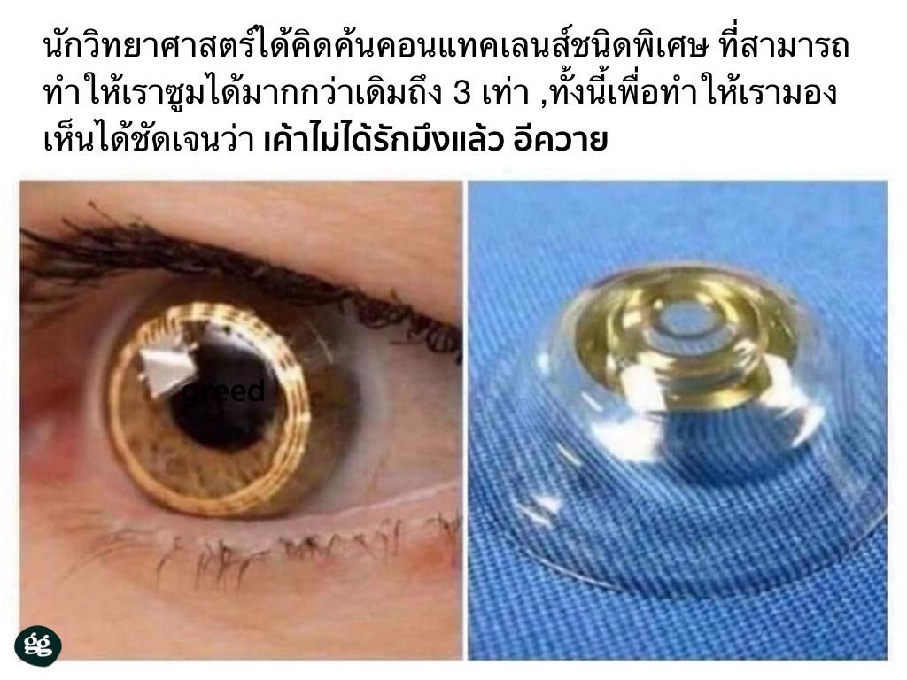 แก้วจ้าว tweet media
