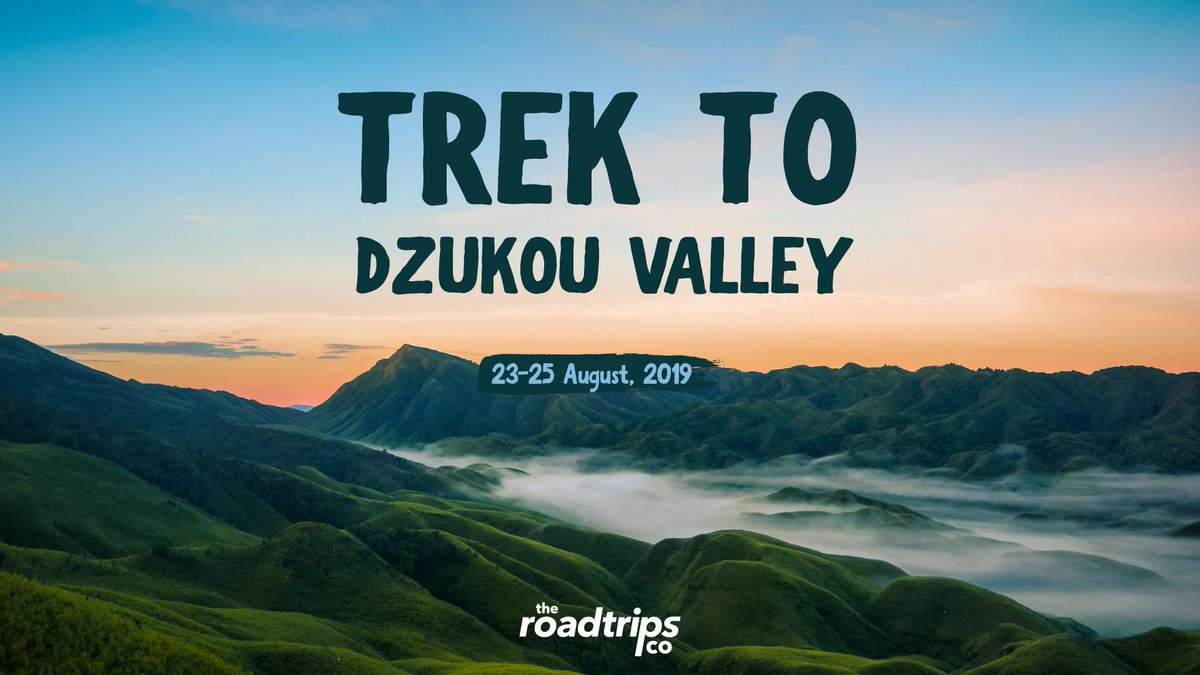 TheIndianRTC's tweet photo. Join #RTCGuwahati to explore and see the marvel, #Dzukou Valley. Famous for its wide range of flower in every season. #Trek through the flower flooded pastures!

Date:  23 - 25 August. 
Details: https://t.co/az0TZlhByL https://t.co/CDNAsBovkT