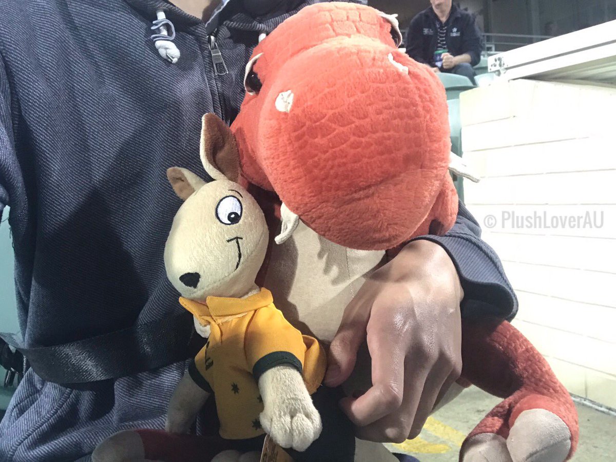 PlushLoverAU's tweet photo. Daddy brought me to watch the rugby match. It was fun to watch. - #RexyDeanTheTrex

https://t.co/QBpS7KyOzS
https://t.co/EFZj530s8i

#rexydean #trexplush #dinosaurplush #plush #plushie #PlushLover #PlushLoverAU #stuffie #rugby #mascotplush #wallaby #wallabyplush #wallabies https://t.co/KFaiXmBD3v