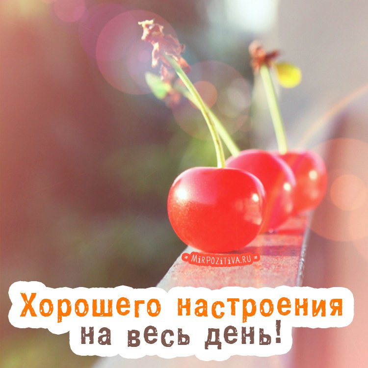 Открытки добрые пожелания на весь день