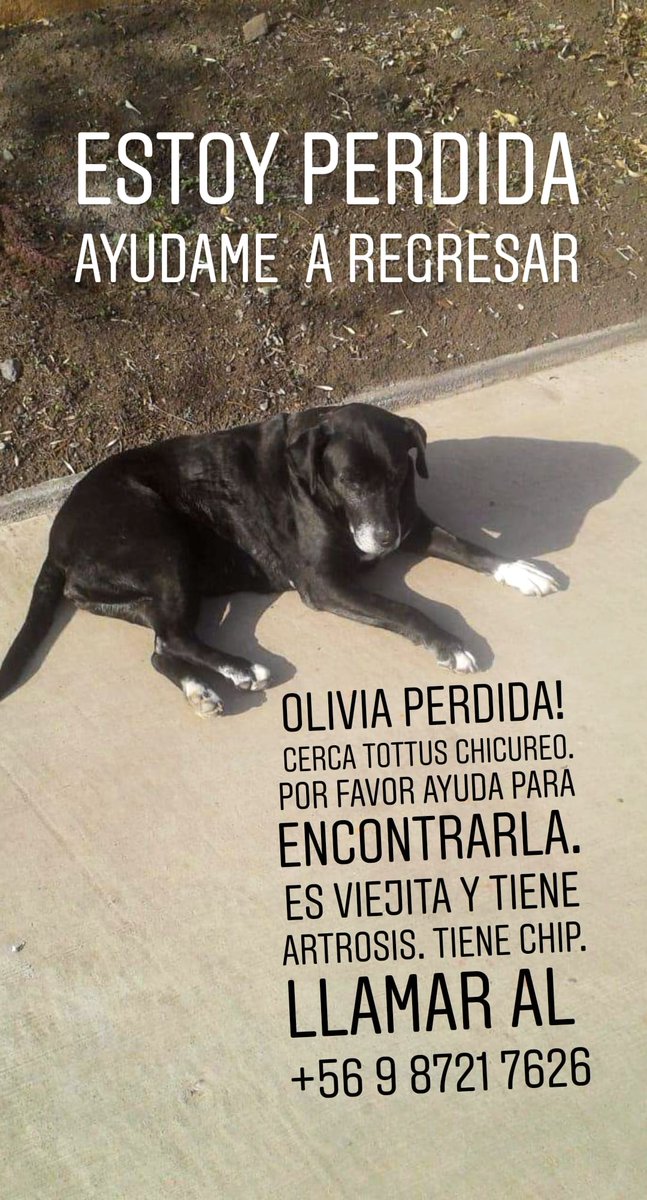 BrendaEtchegar1's tweet photo. CHICUREO ALGUIEN LA TIENE? https://t.co/wk0gUd09r1