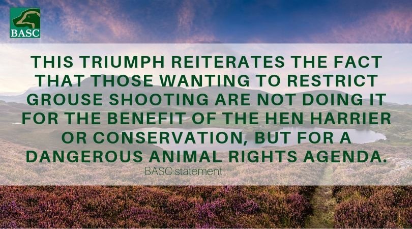 BASCnews's tweet photo. Data released today has shown another record-breaking year for nesting hen harriers in England! Eleven of the 12 successful nests were found on the grouse moors.  The success is down to positive collaboration from a wide range of organisations. @DefraGovUK  @NaturalEngland https://t.co/V0yqiNbjQg