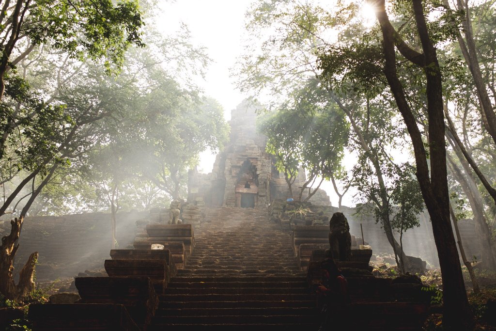 The Bats and Bones of Battambang felloutofthenest.com/2019/08/11/the…