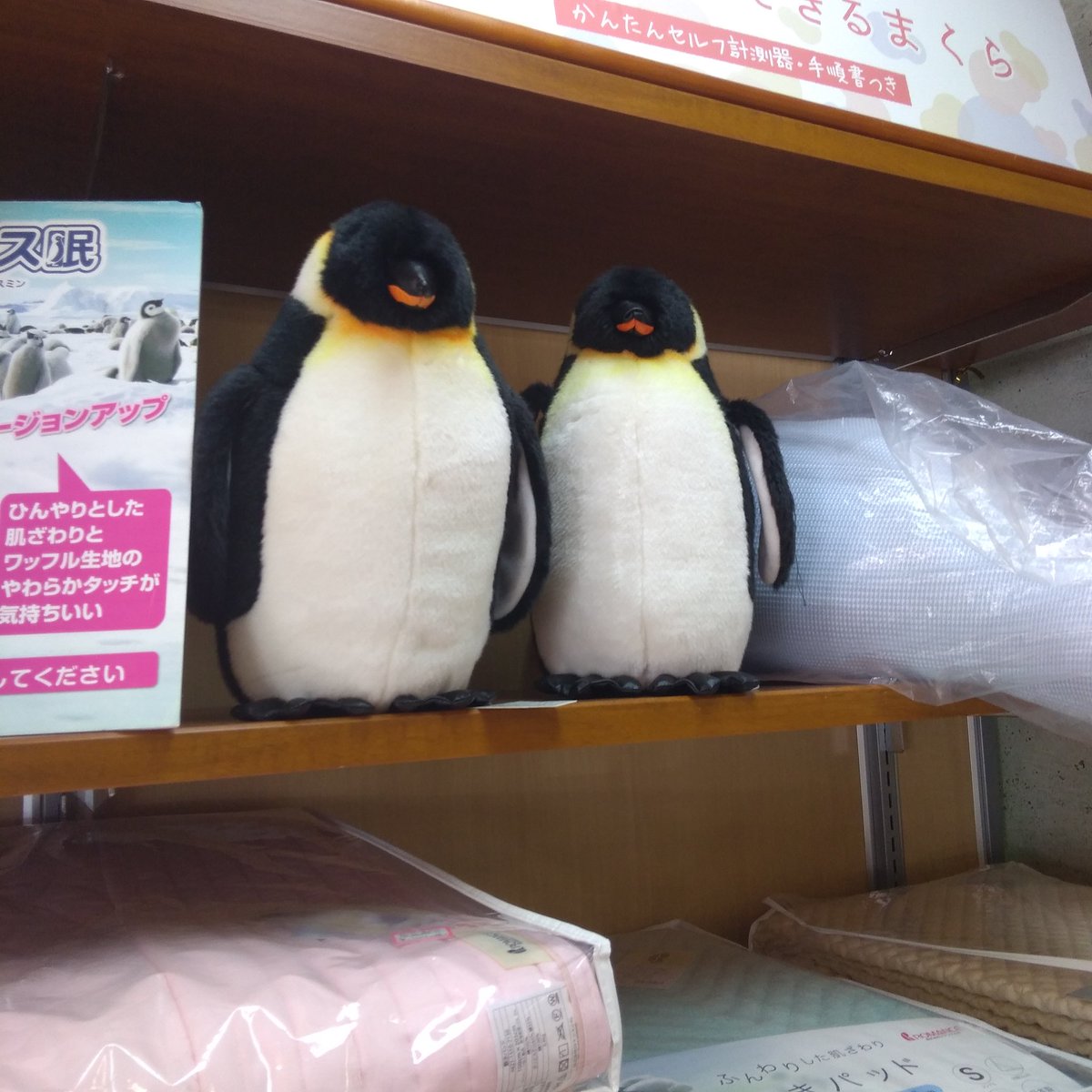 レジ 見分ける 気球 ペンギン 布団 Fujimori Jibika Jp レジ 見分ける 気球 ペンギン 布団 Fujimori Jibika Jp