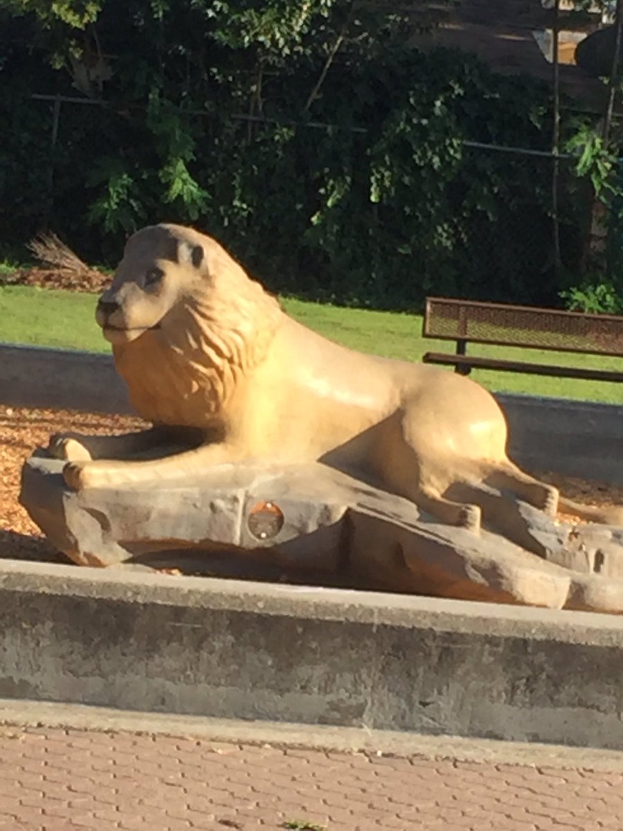 galisoto_'s tweet photo. what ever you do don’t look at the lion’s back paws https://t.co/CTAWyC8qhR