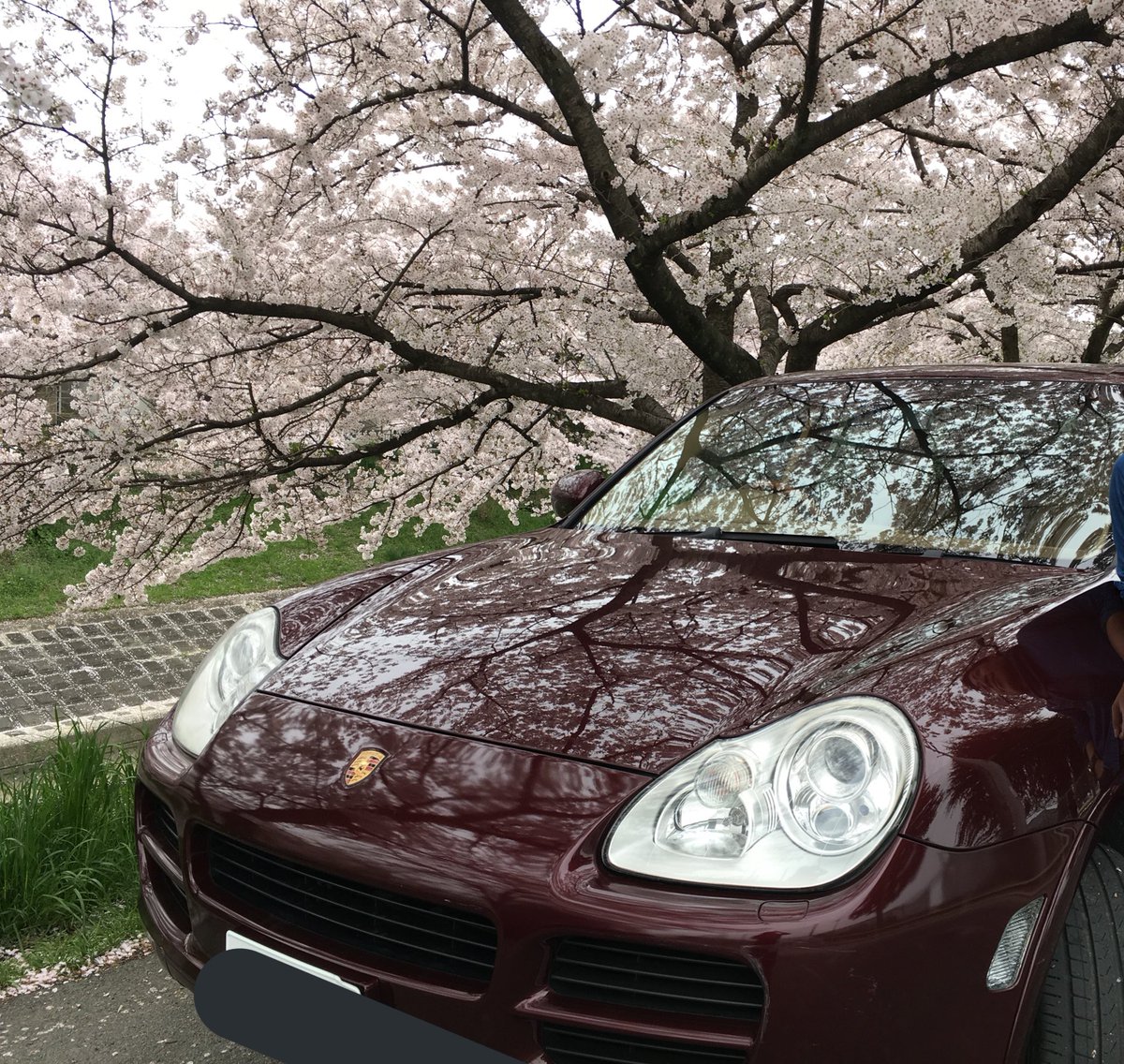 Yuki どなたかポルシェカイエン 0万ぐらいでどうでしょう 車検33年4月まであります 全然乗ってないので勿体ないのです ヽ W ゝ 拡散お願いします