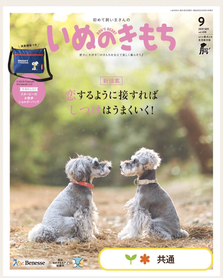 【お仕事】
いぬのきもち9月号「愛犬の意外なイヤですサインに気づこう!」の挿絵を20点ほど描かせていただきました!大好きな雑誌に関わることができて感無量…購読してらっしゃる方はぜひ見てみてください〜!(試し読みの画像をお借りしました) 