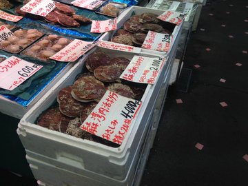青森駅直近の アウガ新鮮市場 へ 内山商店の筋子が絶品でおすすめ 旅行 お出かけの情報メディア