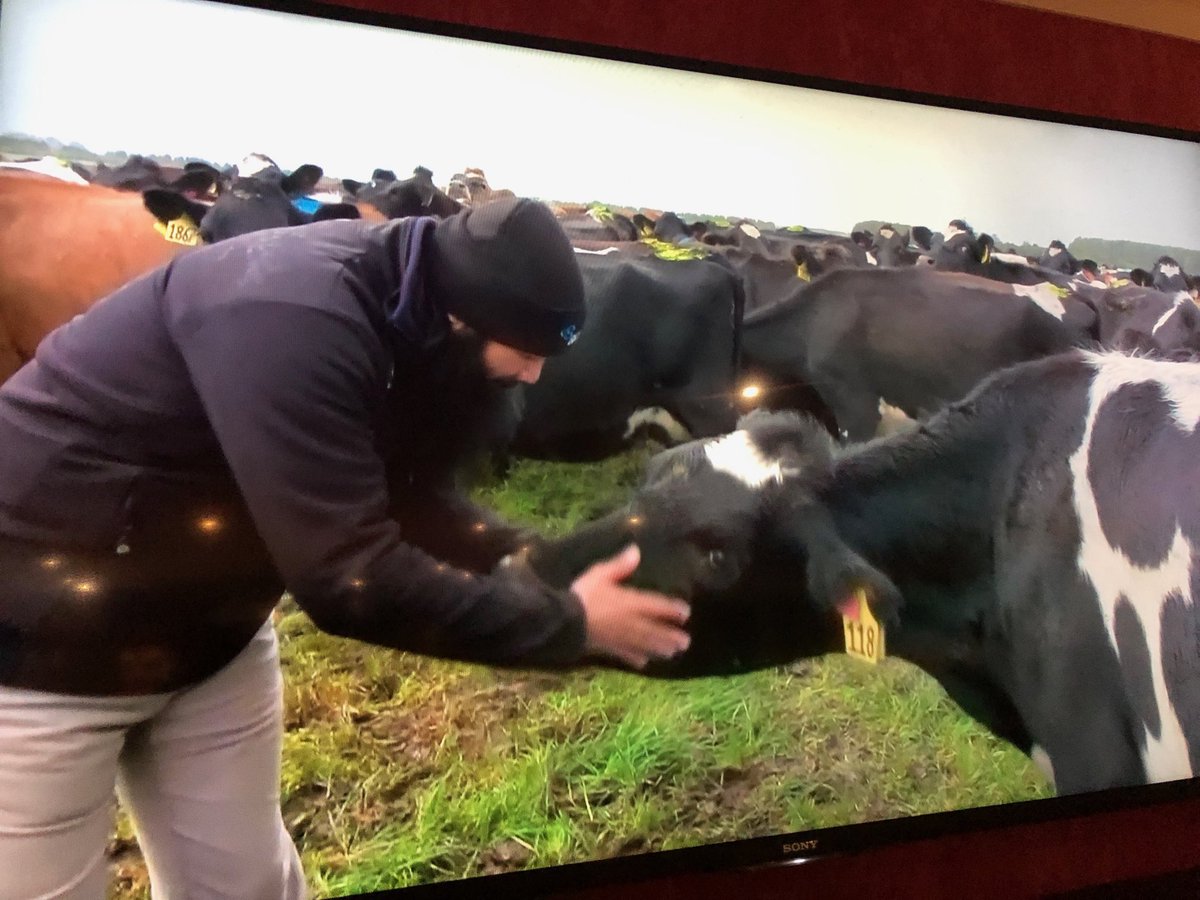 Tracy Brown tweet media