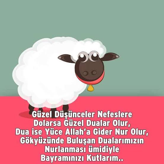 Tüm İslam aleminin kurban bayramını kutlarım.