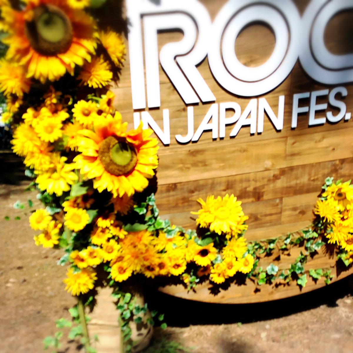 ロッキンジャペァーーーン！！！???
参戦してきました！昨日！
暑かった！！！！！ 