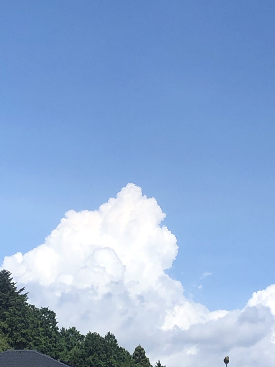 作業終了💦早朝採り、配達、午前中は昨日から始めた用を終えたトマト🍅の木の片付け昼食後は明日の売り出しの準備を出来る物だけ収穫、袋詰め、最後にキュウリ、ナス、インゲンの水やり、2回目の配達で終わり…15時頃東の空(都心方面)に入道雲がたくさん発生してました☁️