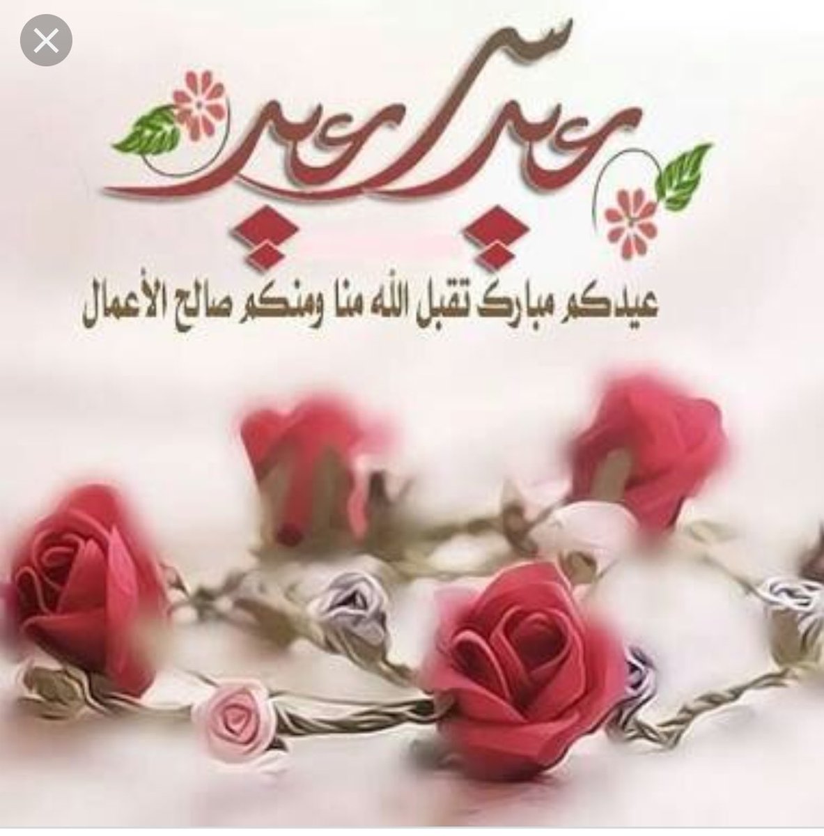 Salem R AYAD (@salemayad3) on Twitter photo 