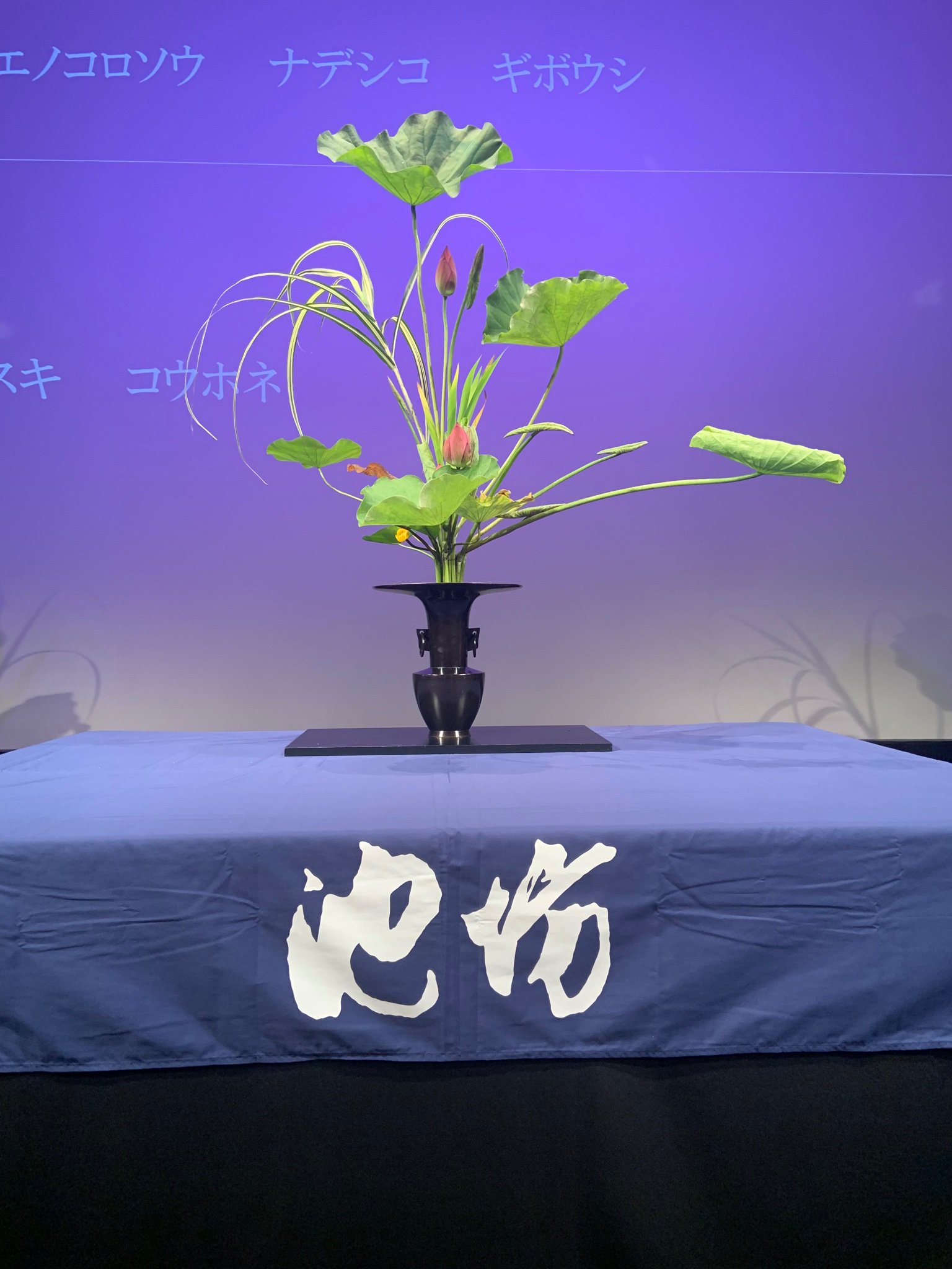 特別展 室町将軍ー戦乱と美の足利十五代ー 公式 室町時代から続く伝統の美がここに 本日 華道家元池坊 次期家元 池坊専好氏による講演会 デモンストレーションが開催されました 室町時代から続くいけばなの歴史や 実演を交えた解説があり その伝統 特別展 室町将軍ー戦乱と美の足利十五代ー 公式 室町時代から続く伝統の美がここに 本日 華道家元池坊 次期家元 池坊専好氏による講演会 デモンストレーションが開催されました 室町時代から続くいけばなの歴史や 実演を交えた解説があり その伝統