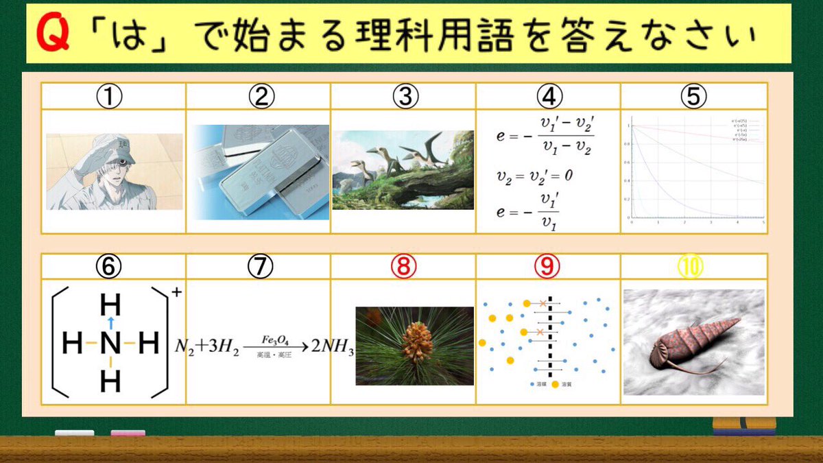 かわうそ on X: 