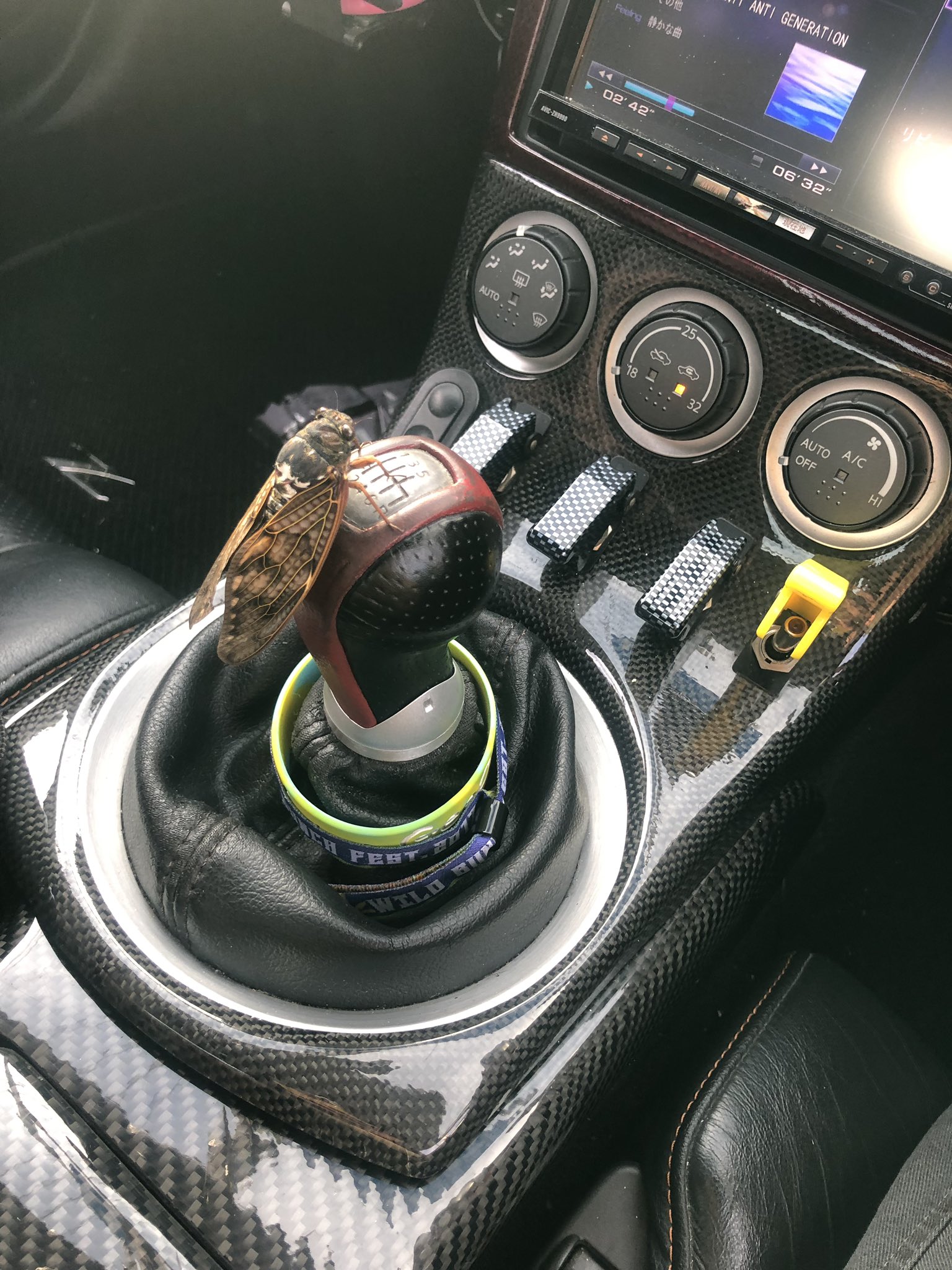 あ ま は ん このセミ さ ほぼ50万人に顔まで晒されてさ 生きていけんのかな ワイこんなに晒されたら生きていけへん T Co Fmqn6v6obq Twitter