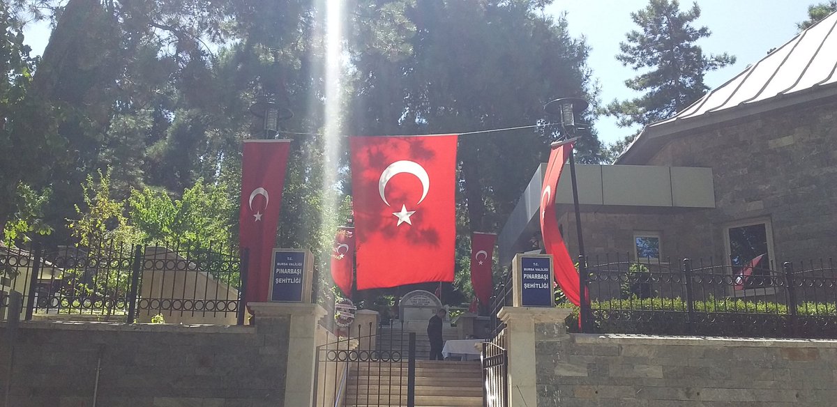 serdar angun 1,618 🇹🇷 🏆 tweet media