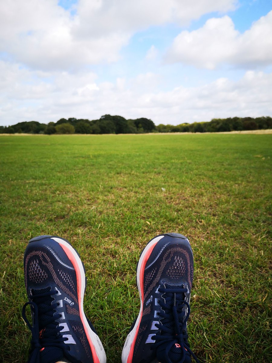 Laura Harrison tweet media