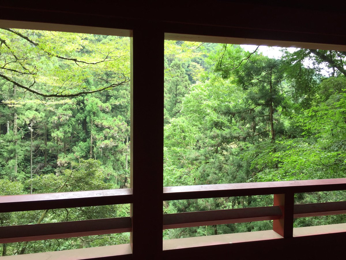 てんこ (@tenco99) on Twitter photo 