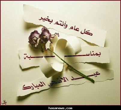 كل عام والجميع بخير وسعادة وسلام وراحة بال
كل عام وبلادنا مصر بخير  وامان