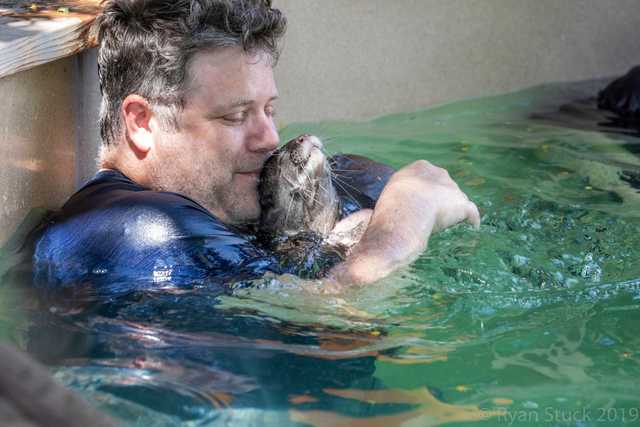 <a href="/tprstly/">Theo Priestley</a> I'm not sure any generation is worthy of Sean Astin