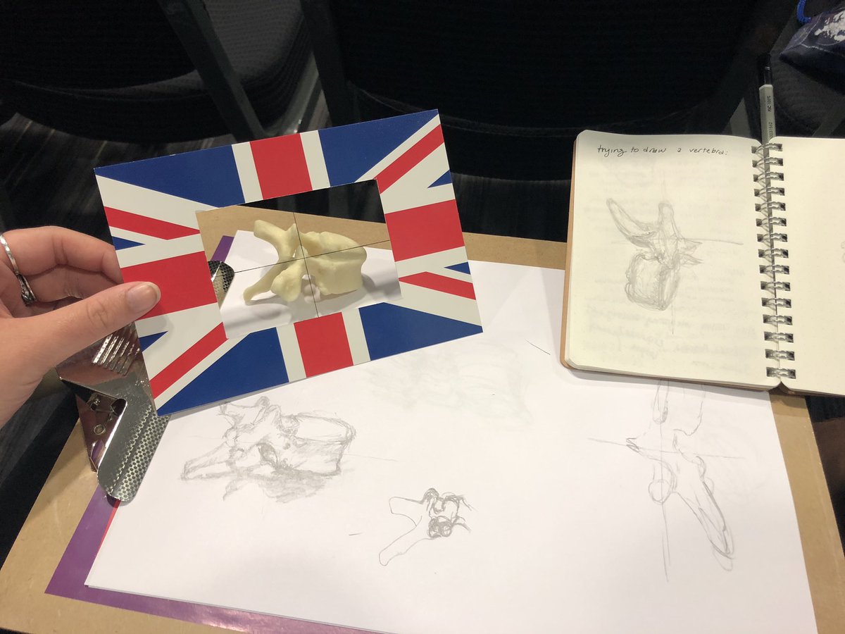 I am so inspired by all the art and anatomy talks at #IFAA2019! So much to take on board and think about going forward in learning and teaching.