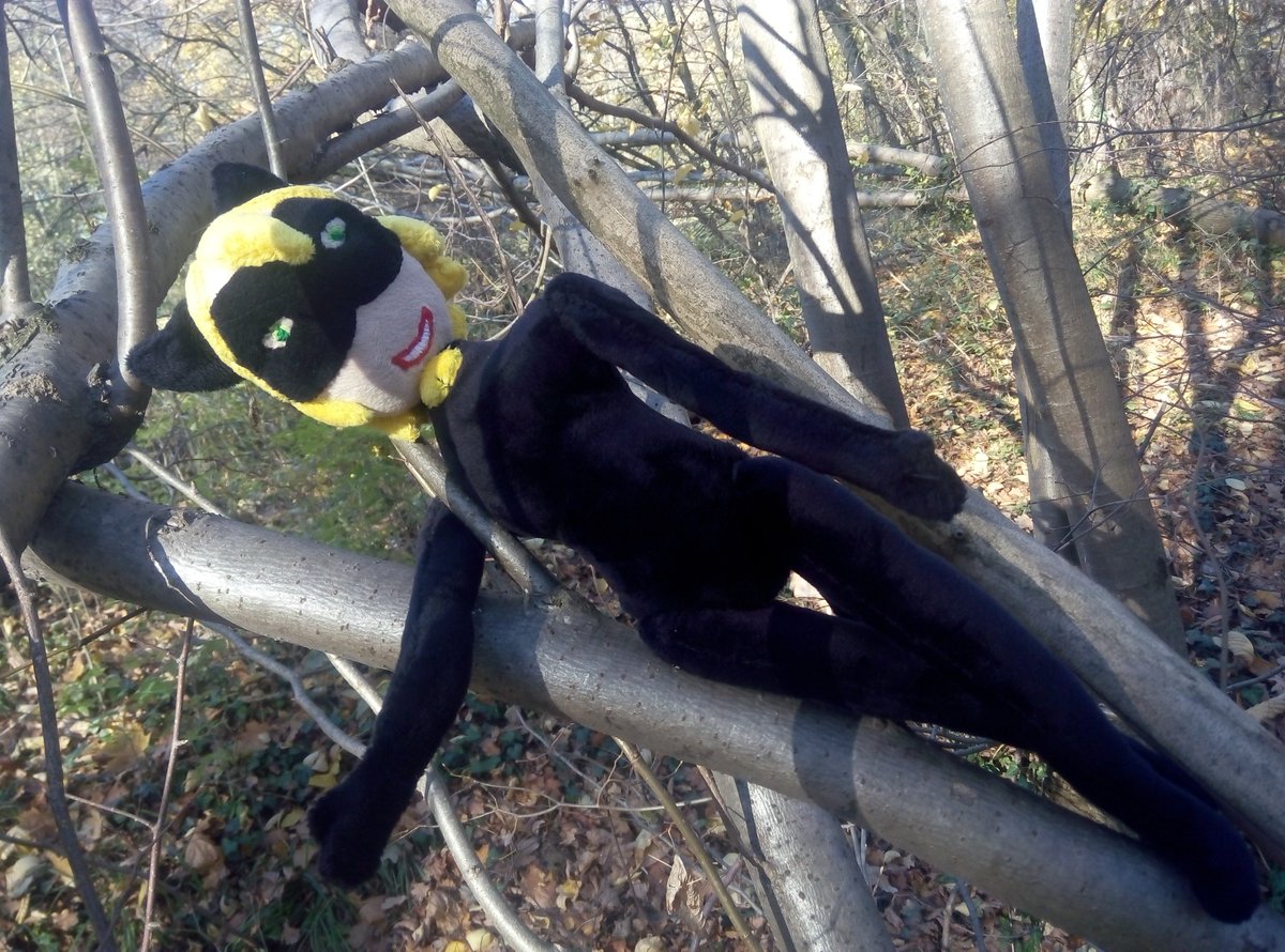 Biedronkaiczarnykot Hashtag On Twitter