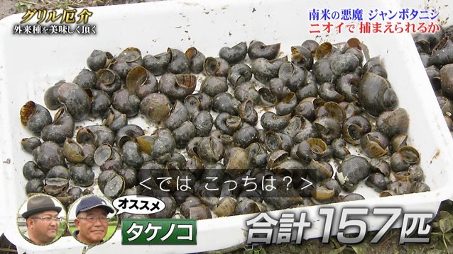 田んぼを荒らす厄介者ジャンボタニシがペットボトルで作ったトラップにビッシリ ご家庭でマネできる大衆食堂のメニューに変身 鉄腕dash Togetter