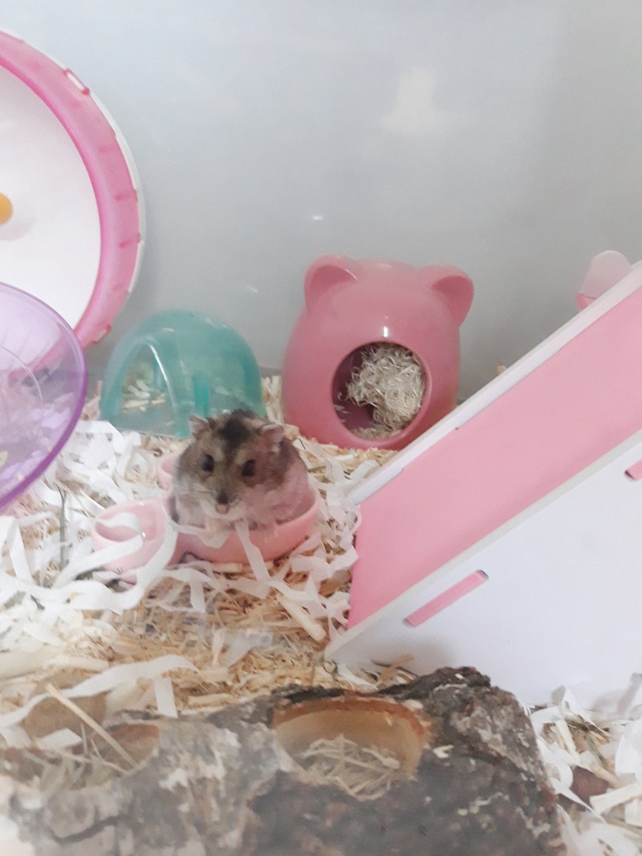 김구월 62g 달성..!!