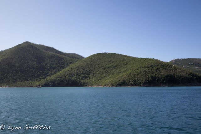 SYPacificWave's tweet photo. Visit #MahoBay onboard Pacific Wave on a #BVICrewedYachtCharter this winter. We offer FREE St Thomas pickup and drop-offs! https://t.co/KkGkur6gsr