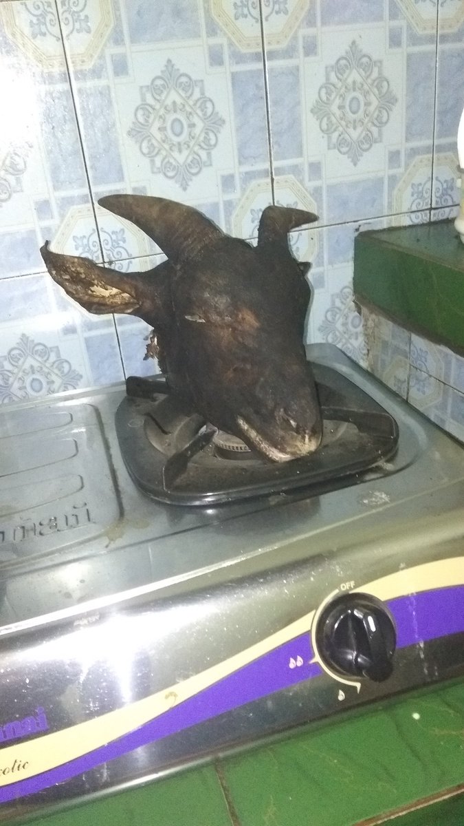 Anying kaget w kira lucifer keluar dari kompor 😭😭😭