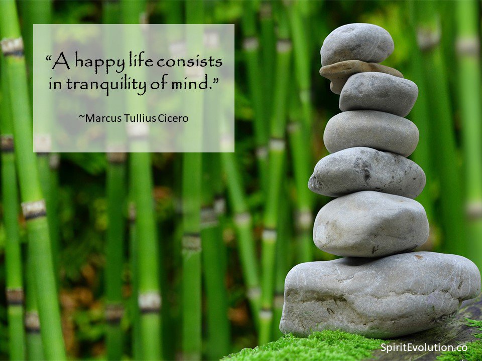 SpiritEvol's tweet photo. Want a happy life? Cultivate tranquility. @SpiritEvol https://t.co/spI8jFQluu