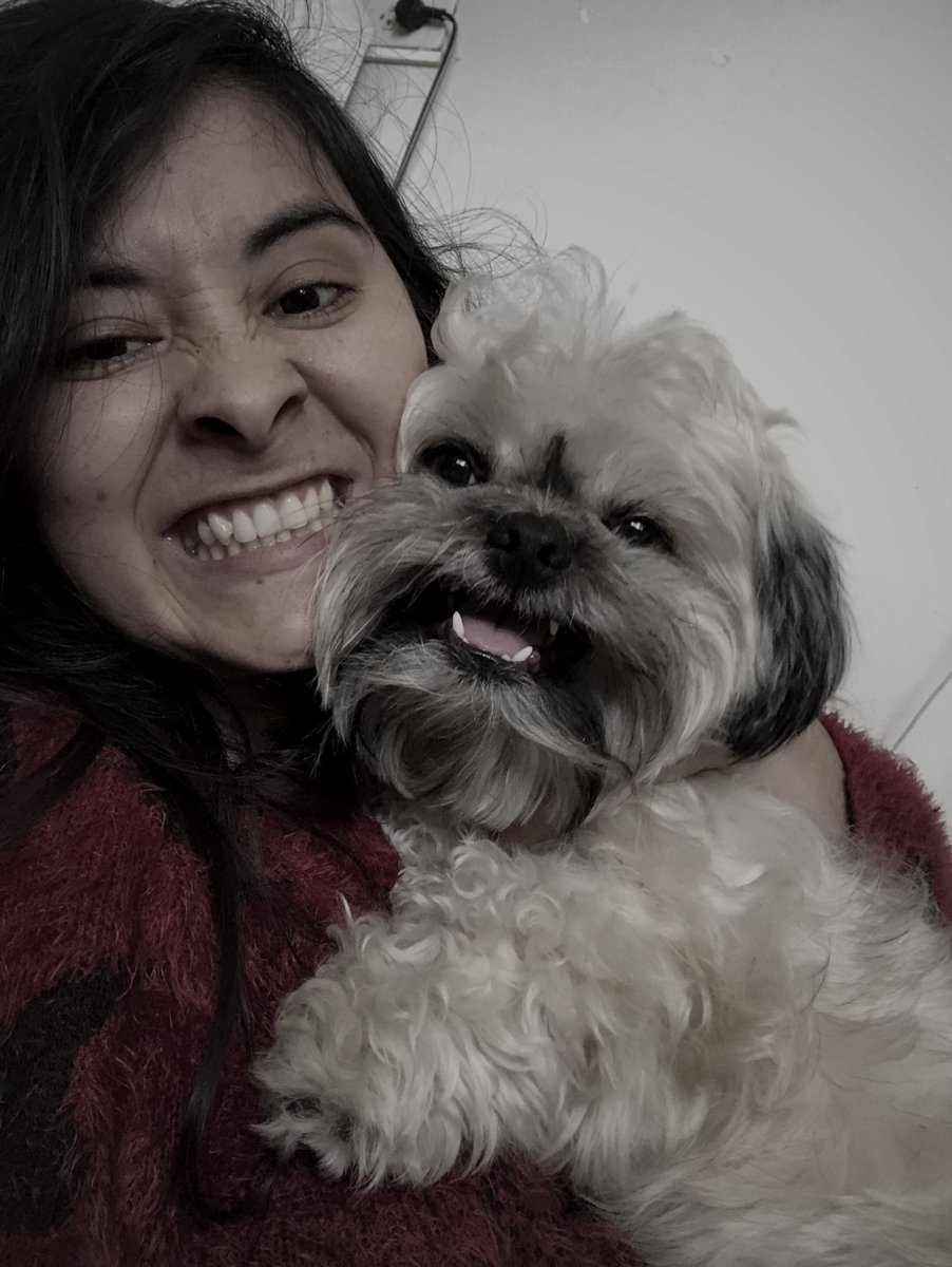 1sindy's tweet photo. La mirada que le das a tu mamá cuando dice “Espera,una foto más “ 📸🤨🥴 #animalovers #shitzulover #bookphotography #photostragram #photo #winter #retratando #amorperruno🐶 #shitzu #dogworld #lovedog #sundayvibes #funnydogs #puppiesofinstagram #puppy #doginstagram #hachiko #love https://t.co/ad3pdF5OlJ