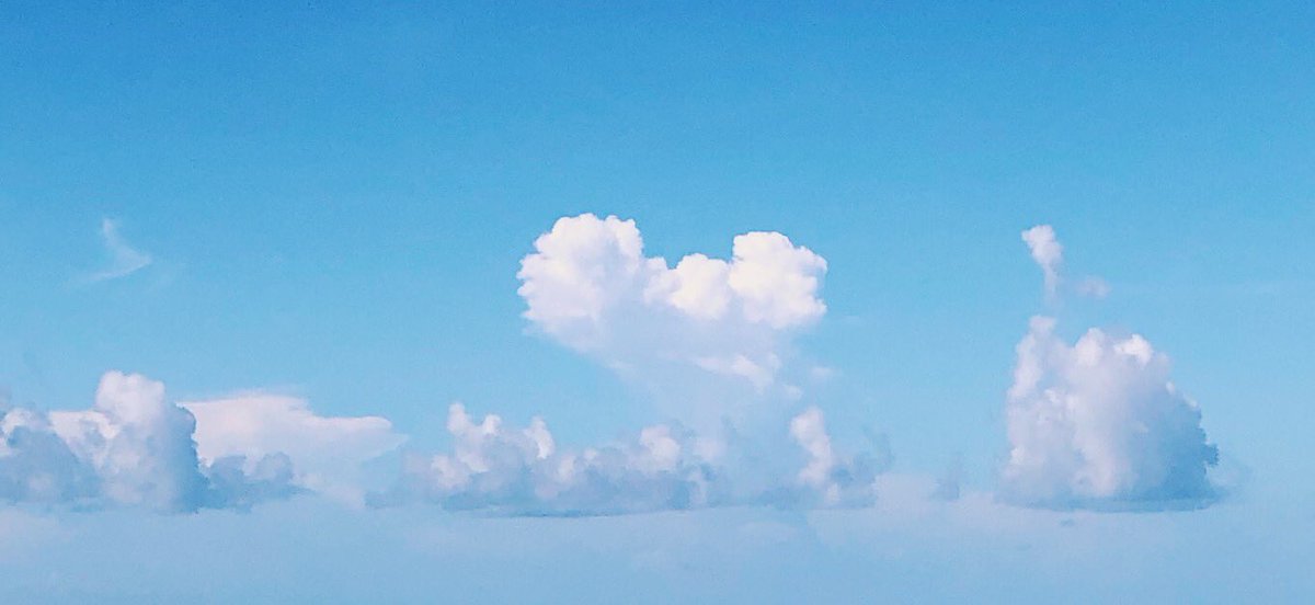 Ice_fish_EDM's tweet photo. I’ve been infatuated with clouds https://t.co/jfLS3rLI0Q