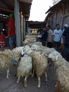 kotamagetan_'s tweet photo. Bank Sampah Dompong (BSD) memprakarsai penggunaan besek yg ramah lingkungan dalam pendistribusian daging qurban di Dukuh Dompong, Desa Bogoarum, Kecamatan Plaosan, Magetan. #Pict2 https://t.co/etnkexaAVe